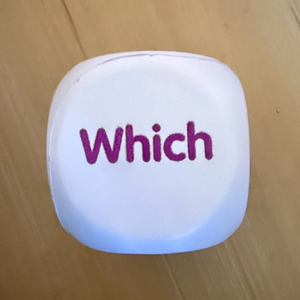 KAGAN QUESTION FOAM DICE CLASS SET (8-OF DICE) THINKING QUESTIONS READING